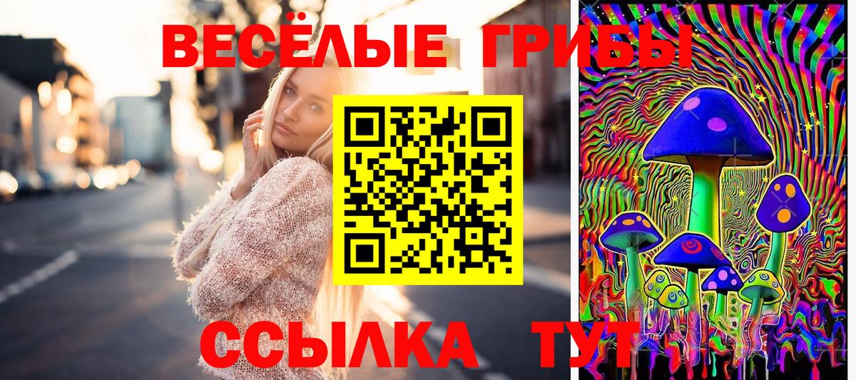 Бошки Шишки Богданович