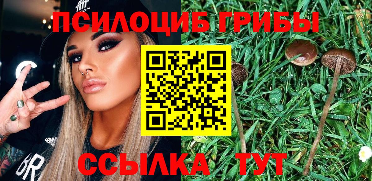 Галлюциногенные грибы прущие грибы  Вход с VPN  Богданович  Галлюциногенные грибы прущие грибы 