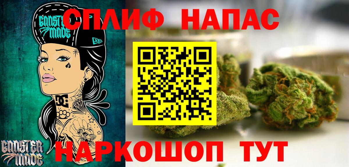 Каннабис индика Богданович